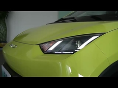 বিড সিগল ইভি গাড়ি